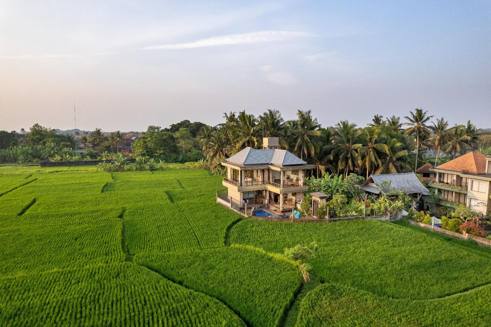 Gynandha Ubud Cottage Εξωτερικό φωτογραφία